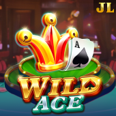 Wild Ace OKBet Register download